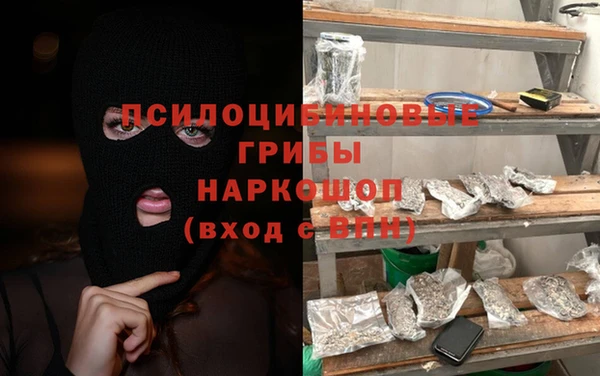 эйфоретик Арсеньев