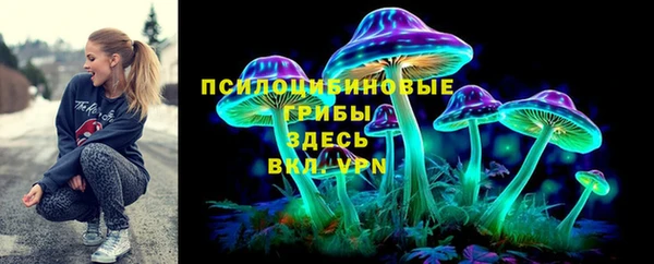 эйфоретик Арсеньев