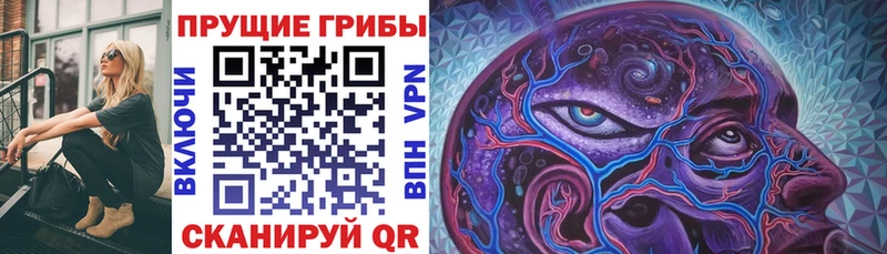 Галлюциногенные грибы Psilocybine cubensis  маркетплейс какой сайт  Правдинск 