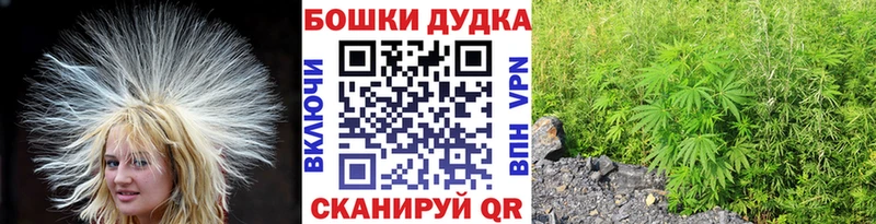 Бошки марихуана Ganja  где купить наркотик  Правдинск 
